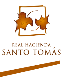 logo-4